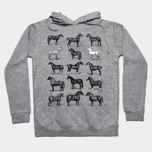 Vintage Horse Breed Chart Hoodie